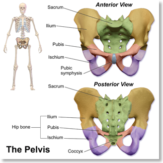 ST3 Orthopaedic Interview