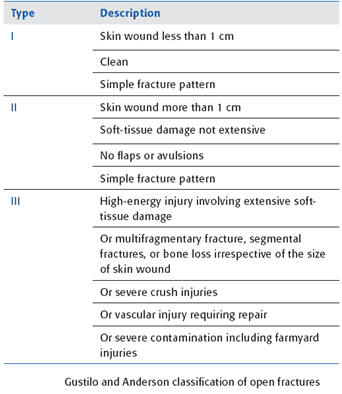 interview questionnaire